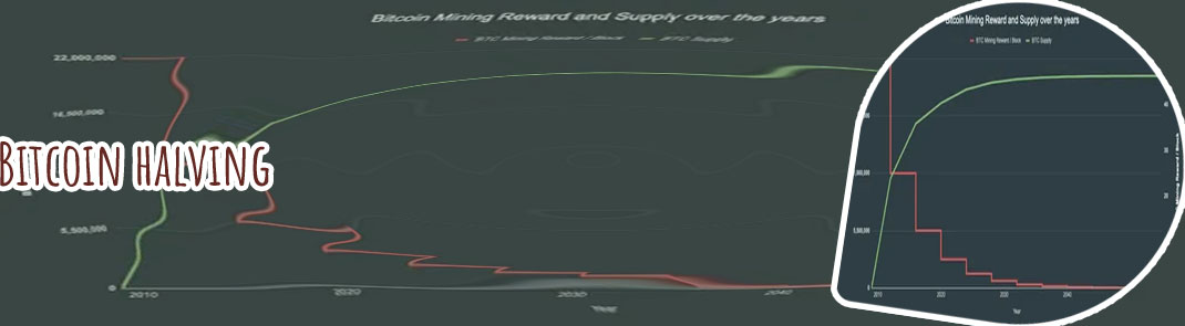 Bitcoin halving schedule