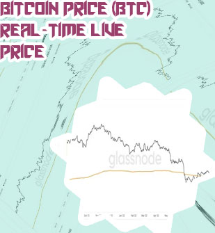 Bitcoin real time price