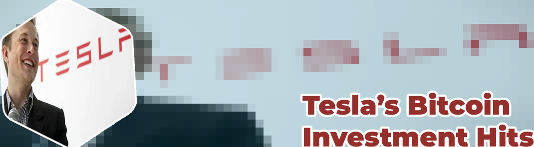 Elon tesla btcponcianoforbes